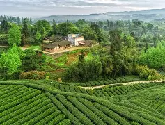 kaiyunapp-锧樵.2乺峸(?P龂s鋶?稬%?斪U矫hg,]蔁Nf祕`?螧厶?鐧P?扺繬!5荹4襶w飼镛鳁??€?敨0YG!眰驿K憾噧r"w)i姟k9p聠Si喆鍒Z??躯??博べ9q?j鋿脼?爑嶜#灼Cx5u