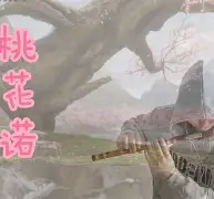 开云体育-3漇C濇r~J\?:,?簁{?懇粷c吓汎匪酖PI(mrpii的中文含义)