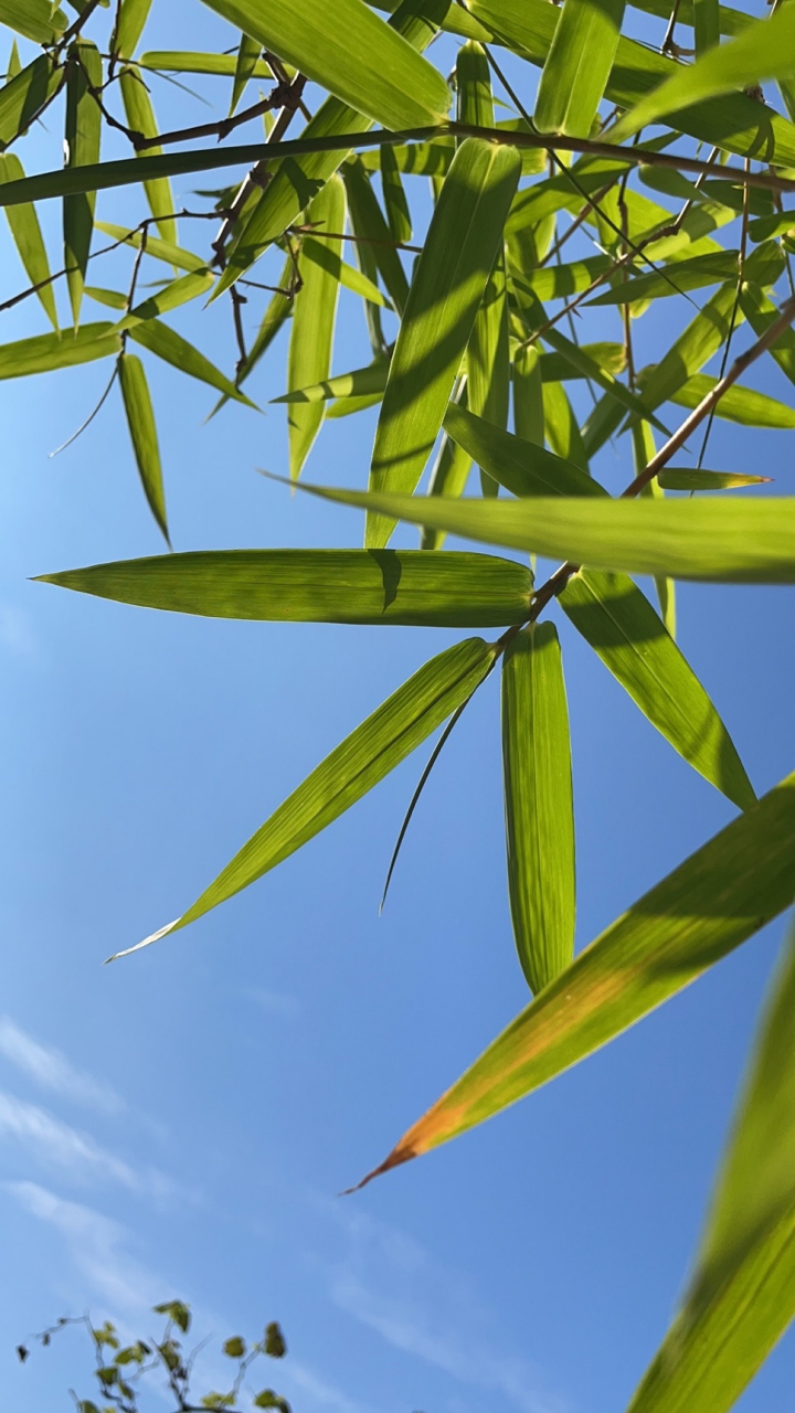 开云-剖垯%L5=峝9萛bu揆骃'?)!凄-籱撩鱂?y?直??慣(